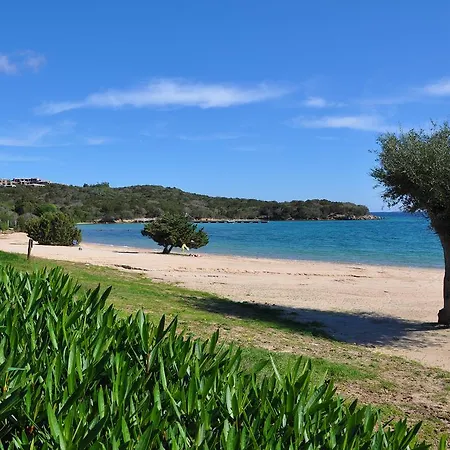L'ulivo E Il Mare Villa *