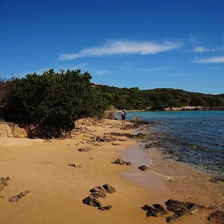 L'ulivo E Il Mare Villa *