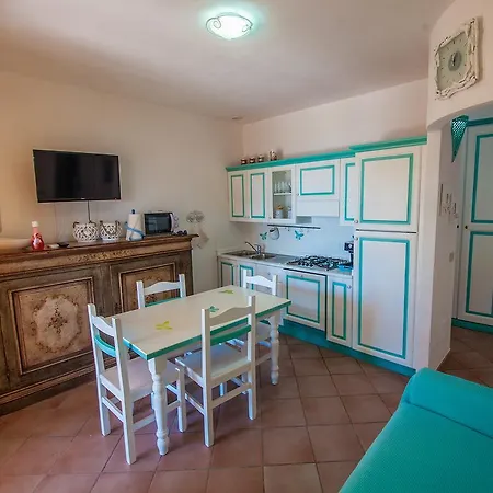 L'ulivo E Il Mare *